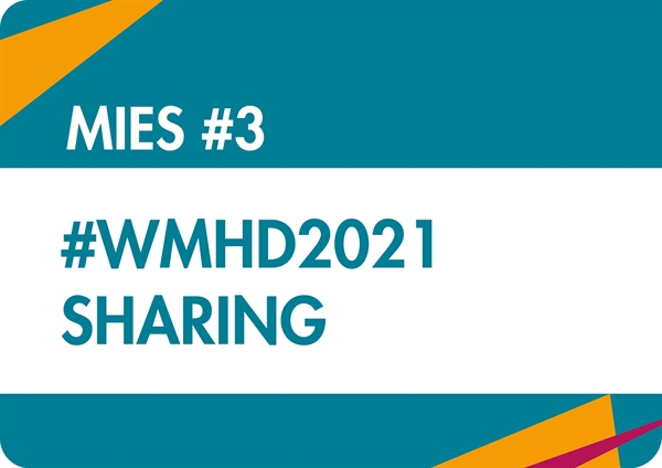 MIES #3 - informal WMHD sharing