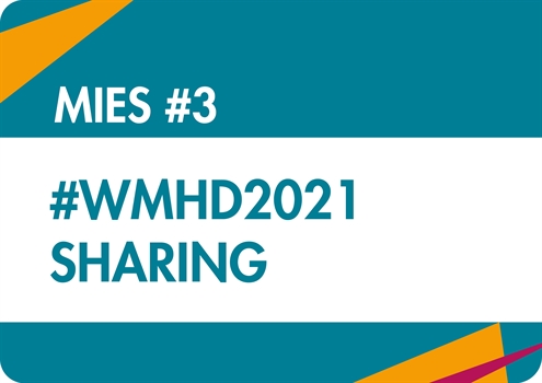 MIES 3 - informal WMHD sharing